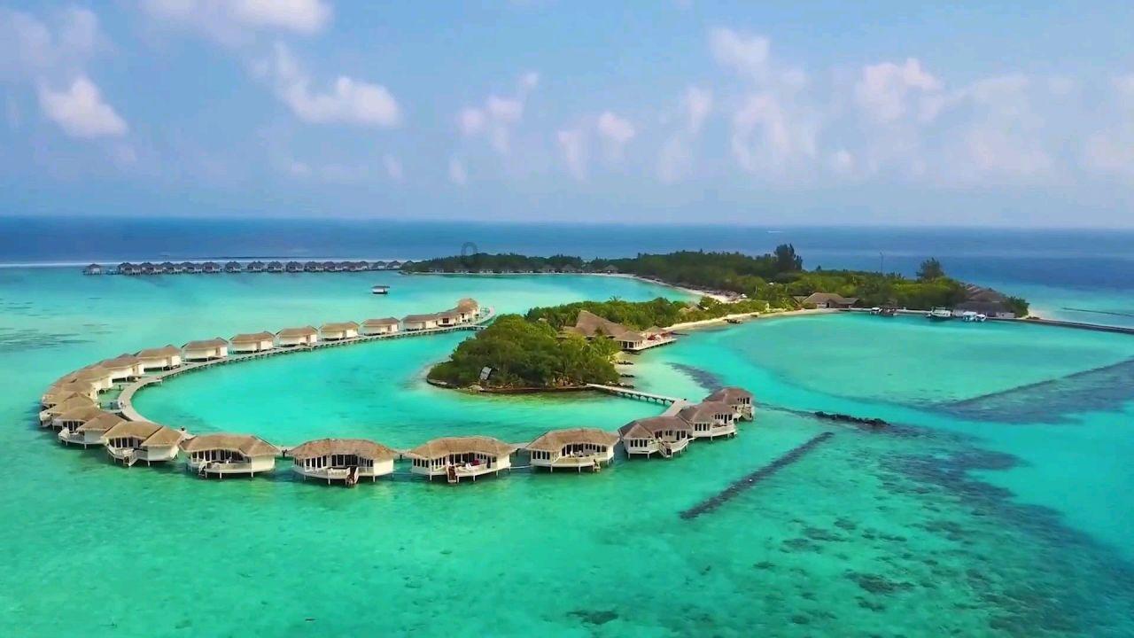 成渝金融法院发布年度工作白皮书 金融纠纷案件审结平均用时44天半